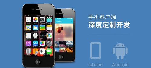 【app pda软件定制开发 服务】价格,厂家,图片-中国网库